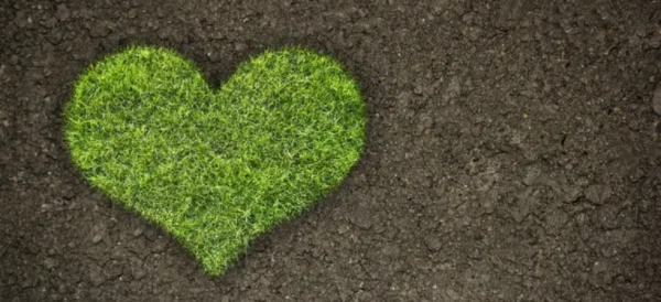 Какие меры принимаются по защите экологии в Казахстане, рассказали в правительстве