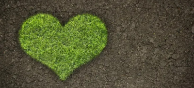 Какие меры принимаются по защите экологии в Казахстане, рассказали в правительстве