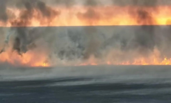 В Атырауской области продолжается тушение масштабного пожара в камышах у побережья Каспия