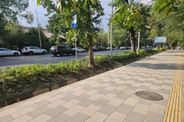 Зеленые буферные зоны появятся в Алмалинском районе Алматы