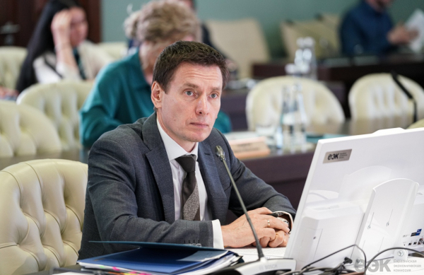 ЕАЭС: ввозная таможенная пошлина на кокосовую стружку