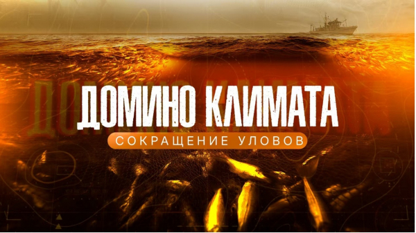 Документальный фильм &laquo;Домино климата&raquo;: 1-я серия &laquo;Сокращение уловов&raquo;