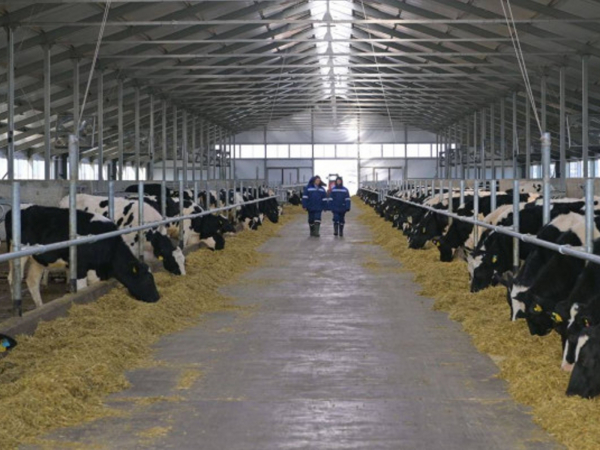 Аграрии формируют региональные бренды