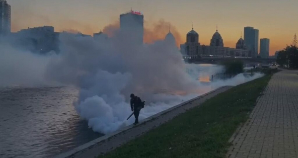 В Астане третий раз травят комаров