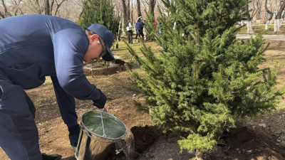 «Таза Қазақстан»: в Караганде обновили зелёные зоны