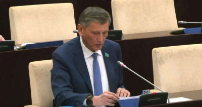 Сенатор указал на проблему недостаточного количества лесополос вдоль дорог в Казахстане