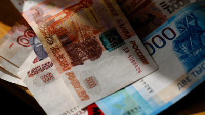 Двести тысяч за &laquo;крысу&raquo;: жительница РТ лишилась денег, заказав экзотичного грызуна через интернет 02/02/2026 &ndash; Новости