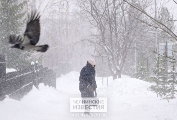В Татарстане ожидаются ураганный ветер и сильный снегопад