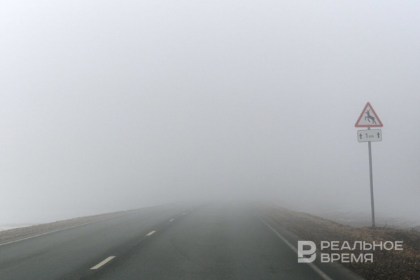 Ночью и днем понедельника в Татарстане прогнозируется туман, гроза и ветер порывами 15-20 м/с