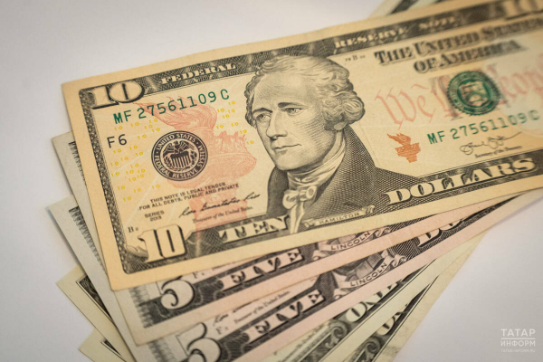Курс доллара в этом году может подняться до 100 рублей &ndash; экономист