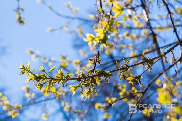 В апреле и мае температура в Татарстане будет теплее нормы