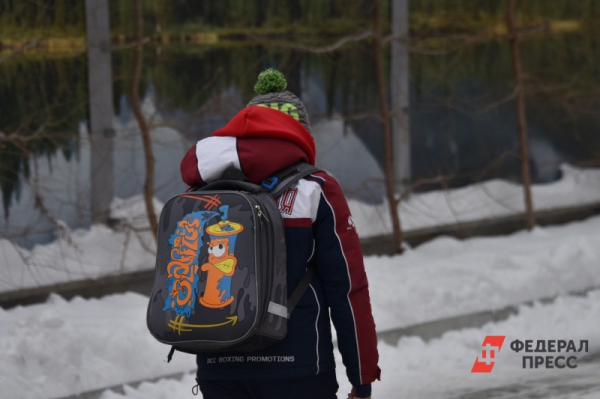 Екатерине Мизулиной массово жалуются на актировки в Тюмени: &laquo;Отменяют занятия не у всех&raquo;