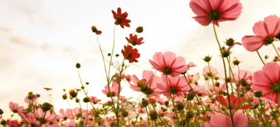 Қазақстанда бүгін ауа райы қандай болады?