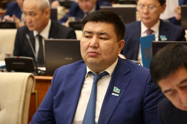 За &laquo;красивыми фасадами&raquo; скрываются дефекты: мажилисмен о госпрограммах по поддержке МСБ