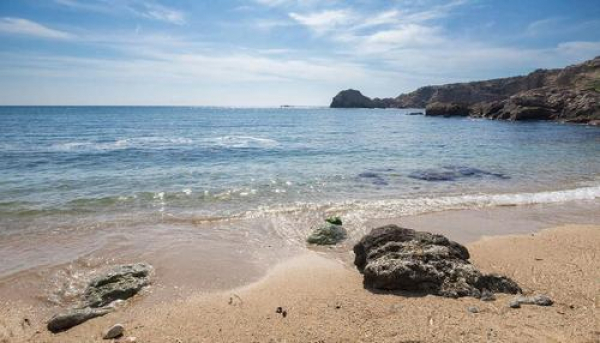 Черное море восстанавливается после разлива мазута: что показали исследования ученых