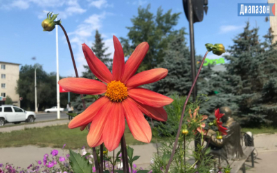 Погода в Актобе на 3-5 июня