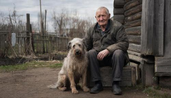 Кому в Воронеже живётся лучше &mdash; бездомной собаке или пенсионеру?