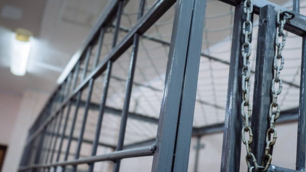 Женщине дали тюремный срок за покупку игрушечного розового пистолета 11/02/2026 &ndash; Новости