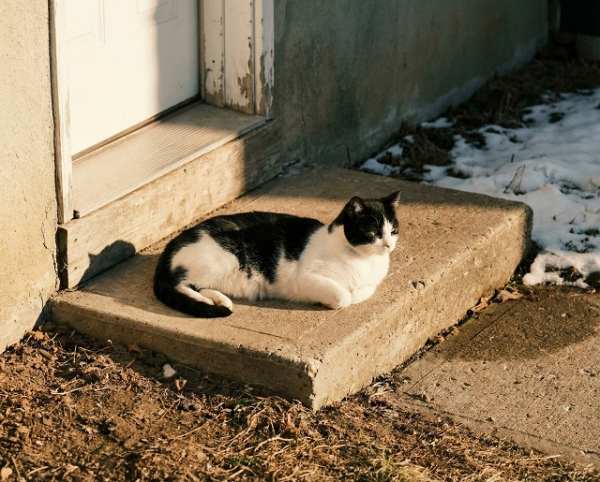 Похолодание до -3 градусов, но без осадков: чего ждать от погоды в Татарстане