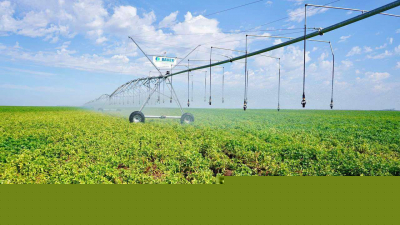 Поливной сезон завершился в Казахстане