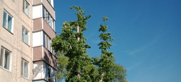 На части территории РК на смену жаре придут дожди, в ряде регионов сохранится до +43