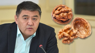 Называть грецкий орех кыргызским предложили власти Кыргызстана