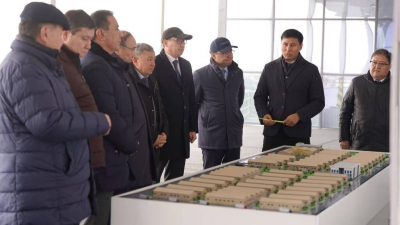 Переработка сельхозпродукции: новые проекты и инвестиции в Туркестане