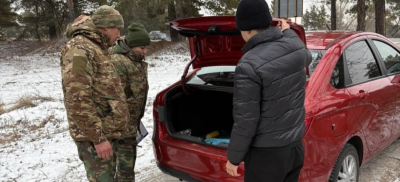 В "Семей орманы" усилили охрану сосновых деревьев накануне Нового года