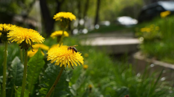 По-летнему жаркий: 57-летний рекорд побил апрель по температуре в Казахстане