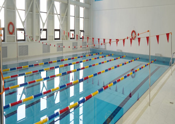 От подтягиваний к баттерфляю