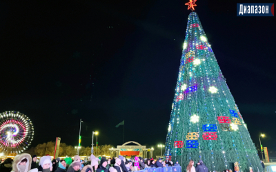 Главную ёлку зажгут 22 декабря. &laquo;Зелёной красавице&raquo; уже 10 лет