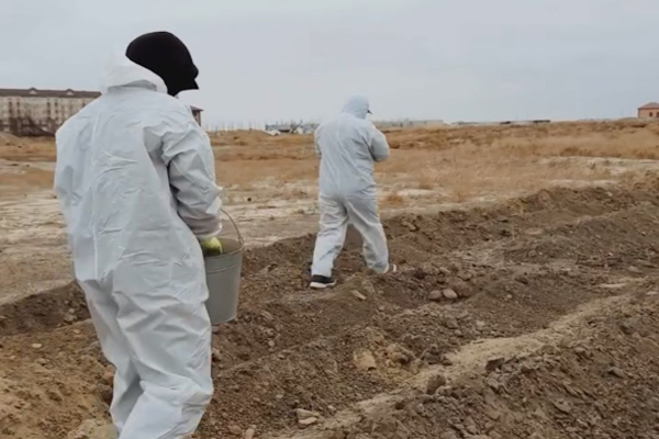 Война с вредителями: в пригородах Атырау начались дезинфекционные работы