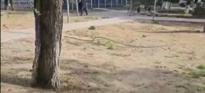 &quot;Кто восстанавливать будет?&quot; − разрухой на новой аллее возмущены общественники Семея