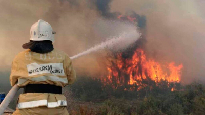 В горах Алматы потушили один крупный пожар и локализовали другой