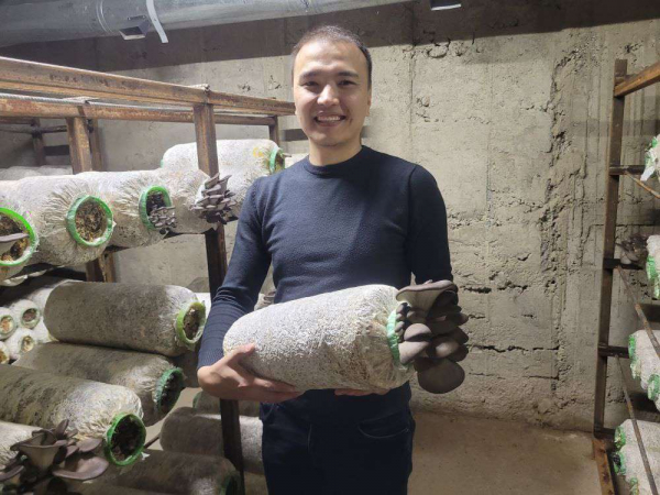 Грибной сезон круглый год