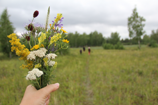 Как деньги от эмиссии возродят леса и избавят от мусорных свалок?