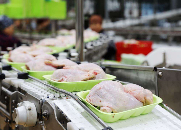 Запущен завод по переработке мяса птицы