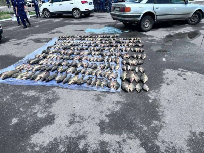 В Туркестанской области задержаны браконьеры с уловом на 10 млн тенге