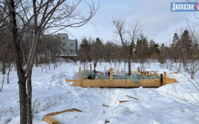 В лесополосе начали стройку
