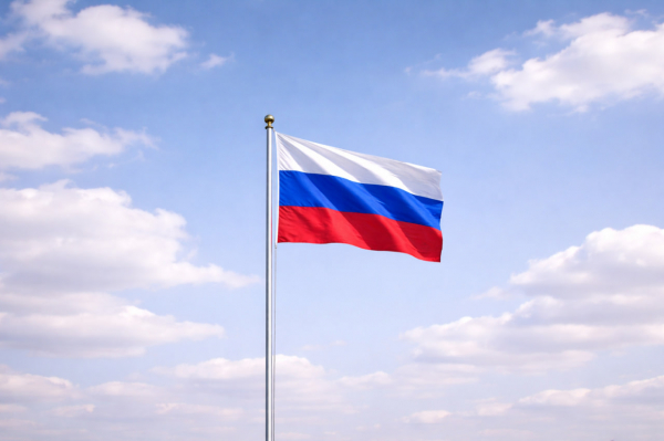 Классон: Россия укрепила оборонку и стала эффективнее