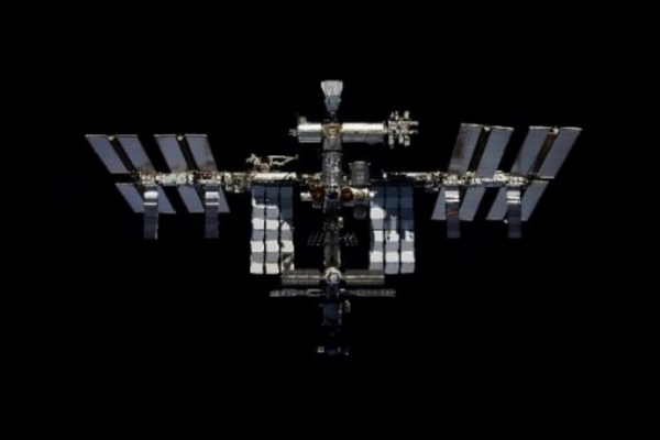 Crew Dragon с российским космонавтом пристыковался к МКС