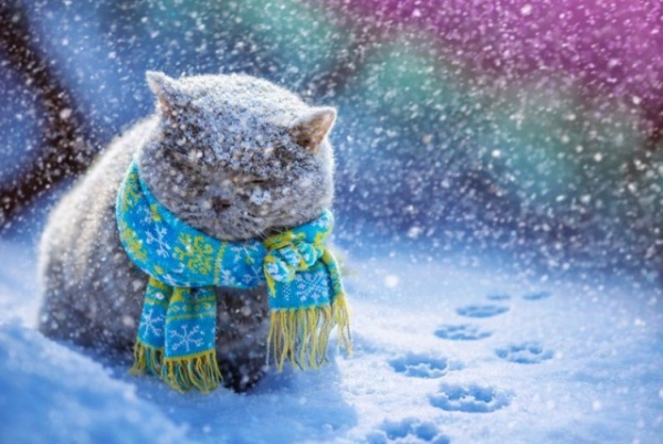 &laquo;Московский&raquo; циклон добрался до Татарстана: снежная буря, ДТП и сбои в авиасообщении