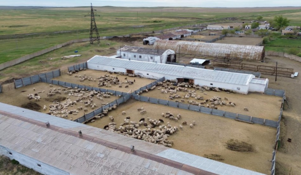 Животноводческий кластер усилит продовольственную безопасность Казахстана
